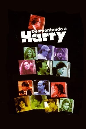 Poster Desmontando a Harry 1997