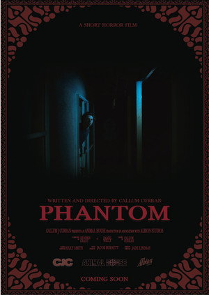 Phantom 8