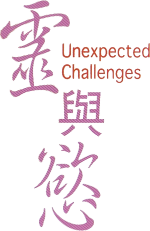 Unexpected Challenges