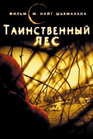 Poster Таинственный лес 2004