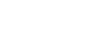 World's Funniest Animals