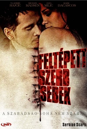 Poster Feltépett szerb sebek 2009