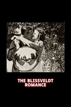 The Blissveldt Romance