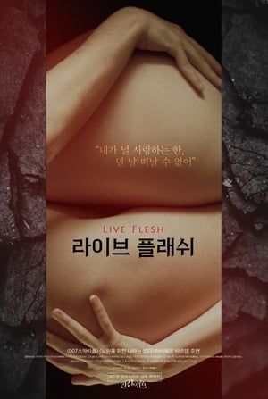 Poster 라이브 플래쉬 1997