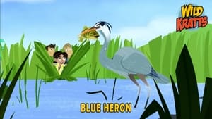 Wild Kratts Blue Heron