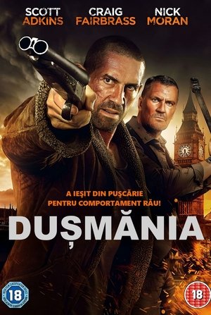Image Dușmănia