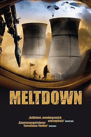 Poster Meltdown 2004