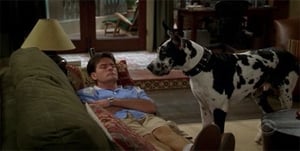 Two and a Half Men 4×4