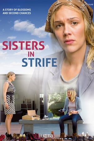 Schwestern poster
