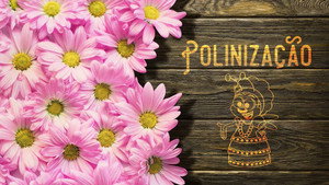Pollination | StreamHub
