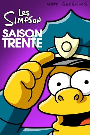 Les Simpson - Saison 30 - poster n°3