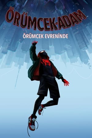 Poster Örümcek Adam: Örümcek Evreninde 2018