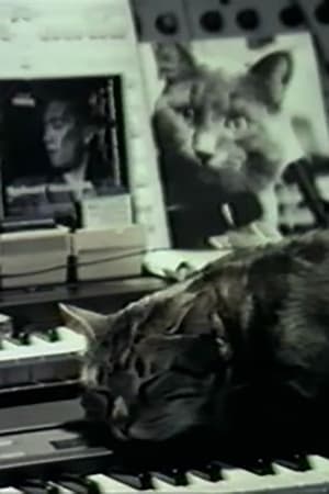 Poster Cat Listening to Music 1990