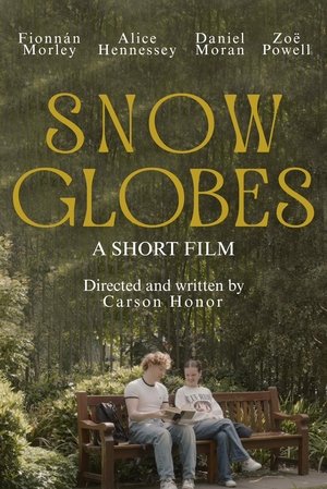 Image Snow Globes
