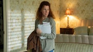 Una Madre con Furia (2021) WEB-DL 1080P LATINO/INGLES