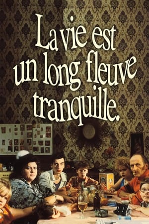 Poster La vie est un long fleuve tranquille 1988