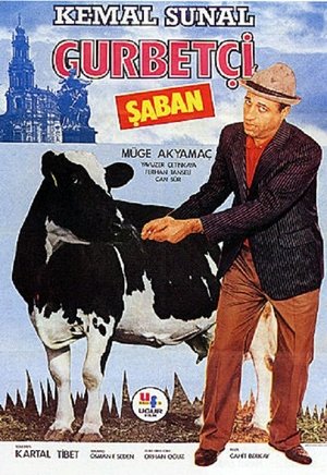 Expat Şaban poster