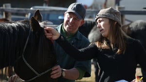 Dr. Oakley, Yukon Vet When Horses Fly