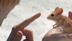 Chlapec, kterému říkají Vánoce