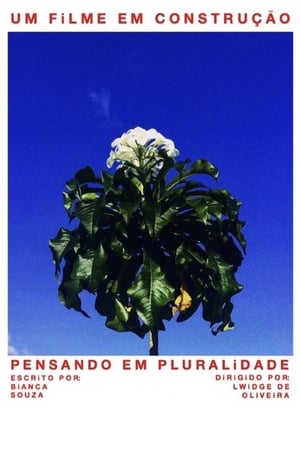 Poster Pensando em Pluralidade (2019)