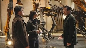 Castle 2×19 Temporada 2 Capitulo 19 Online Español Latino