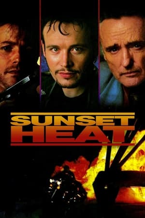Poster Sunset Heat 1992
