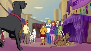 What’s New Scooby-Doo: 2×7