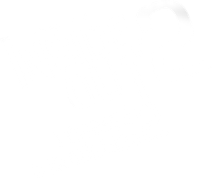 Inside Out 2 มหัศจรรย์อารมณ์อลเวง 2 (2024)