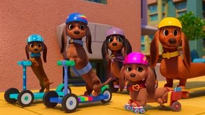 Perros sobre ruedas / Huele y comparte