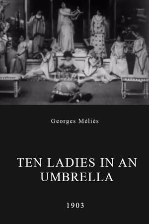 Image Ten Ladies in an Umbrella