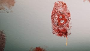 Crypto-parano : Enquête aux frontières du virtuel