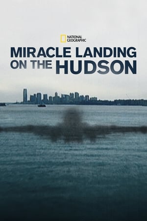 Miracle Landing on the Hudson poster