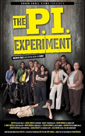 Poster The P.I. Experiment 2015