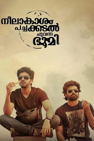 Neelakasham Pachakadal Chuvanna Bhoomi poster