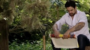 The Rich Do Not Ask for Permission: 1×214