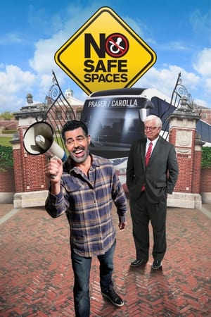 Poster No Safe Spaces 2019