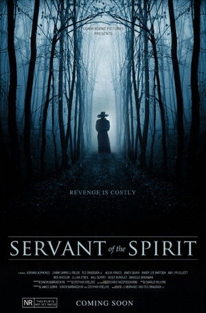 Servant of the Spirit