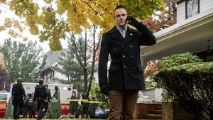 Elementary 3×11