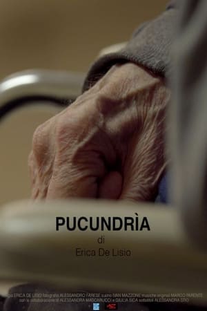 Poster Pucundrìa (2019)