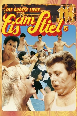 Poster Eis am Stiel 5: Die große Liebe 1984