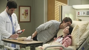 Grey’s Anatomy 6 x Episodio 23