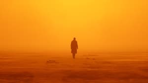 Blade Runner 2049 (2017) Hindi Dubbed