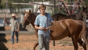 Lean on Pete (2017)