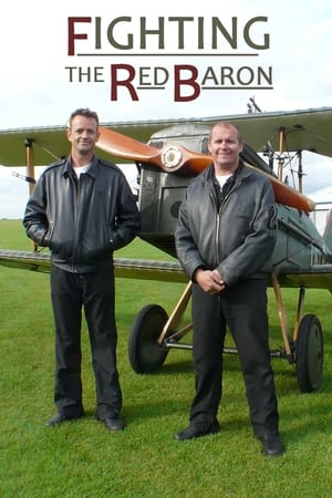 Poster Fighting the Red Baron 2010