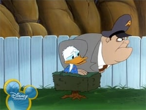 Quack Pack: 1×15