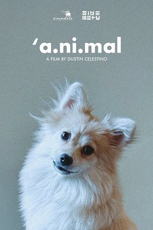 'a.ni.mal