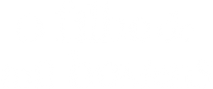 O Filho de Mil Homens