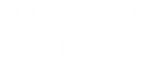 A Maldição dos Minimoys — Logos 11