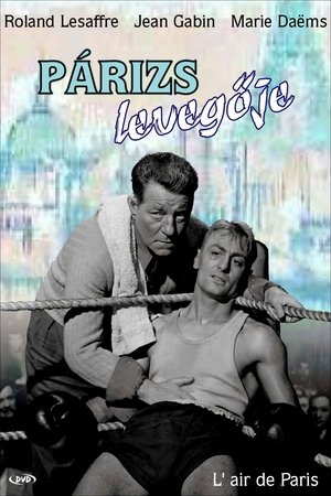 Poster Párizs levegője 1954