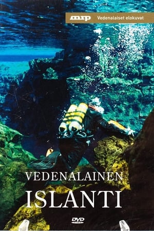 Poster Underwater Iceland 1997